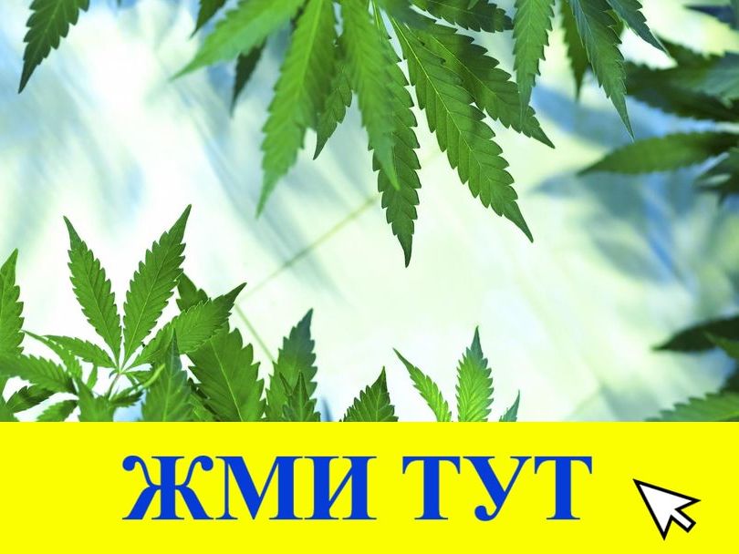 Купить наркотики в Змеиногорске